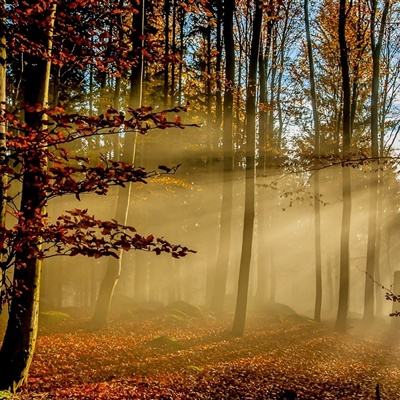 bat365官网登录入口下载手机版