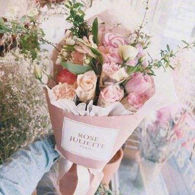 澳门2023全年免费资料大全app下载