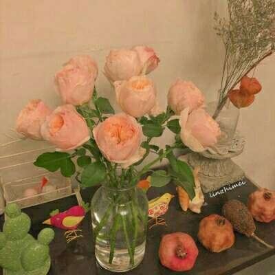 上下分的捕鱼app手机app下载