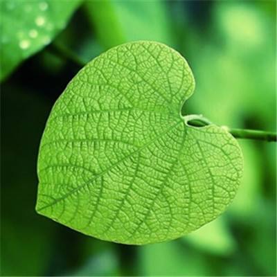 澳门人威尼斯官方