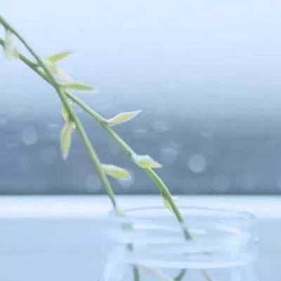 ku娱乐官网登录手机app下载